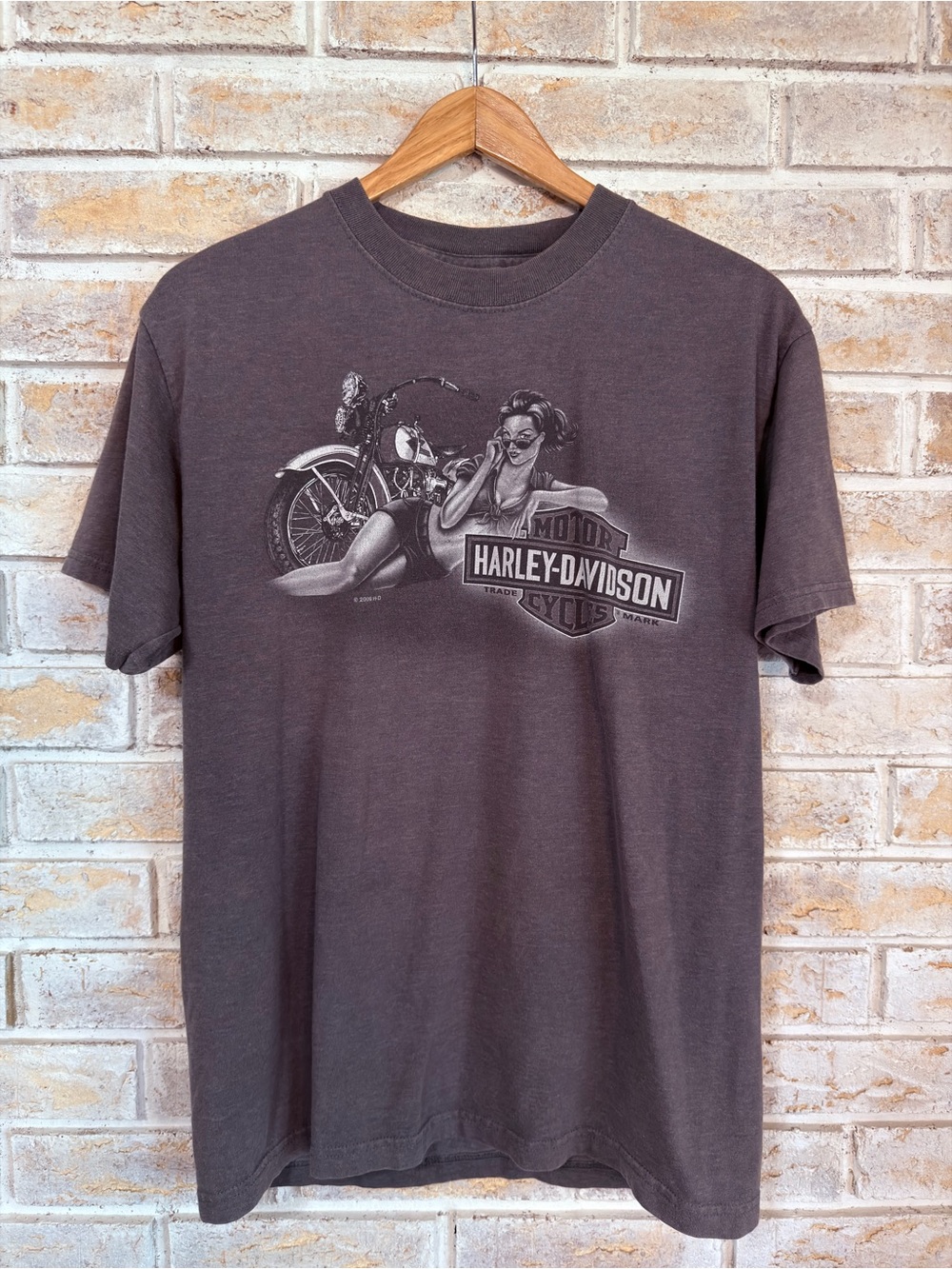 Harley-Davidson Men's t-shirt